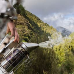 Cover art for SWOT’s Up – Apiculture Leaders’ Industry Analysis 2026