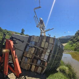 Cover art for February 2026 – A honey season gone sideways, + much more...